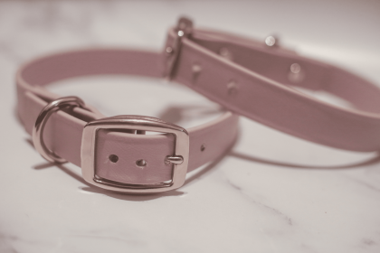 Biothane Buckle Dog Collar (Color: pink, size: Medium/Large 14-16 inches)