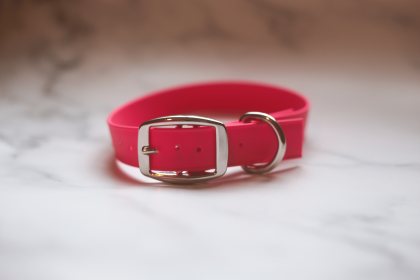 Biothane Buckle Dog Collar (Color: Red, size: Medium/Large 14-16 inches)
