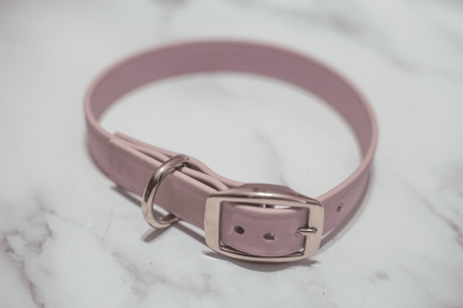 Biothane Buckle Dog Collar (Color: pink, size: XL/XXL 18-20 inches)